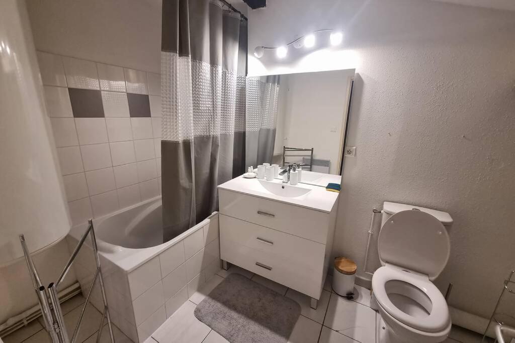 Appartement Exceptionnel 4 Etoiles Hyper Centre Albi 65 M2 Au 4Eme Etage Sans Ascenseur Avec Une Tour Du 12Eme Siecle Exteriör bild